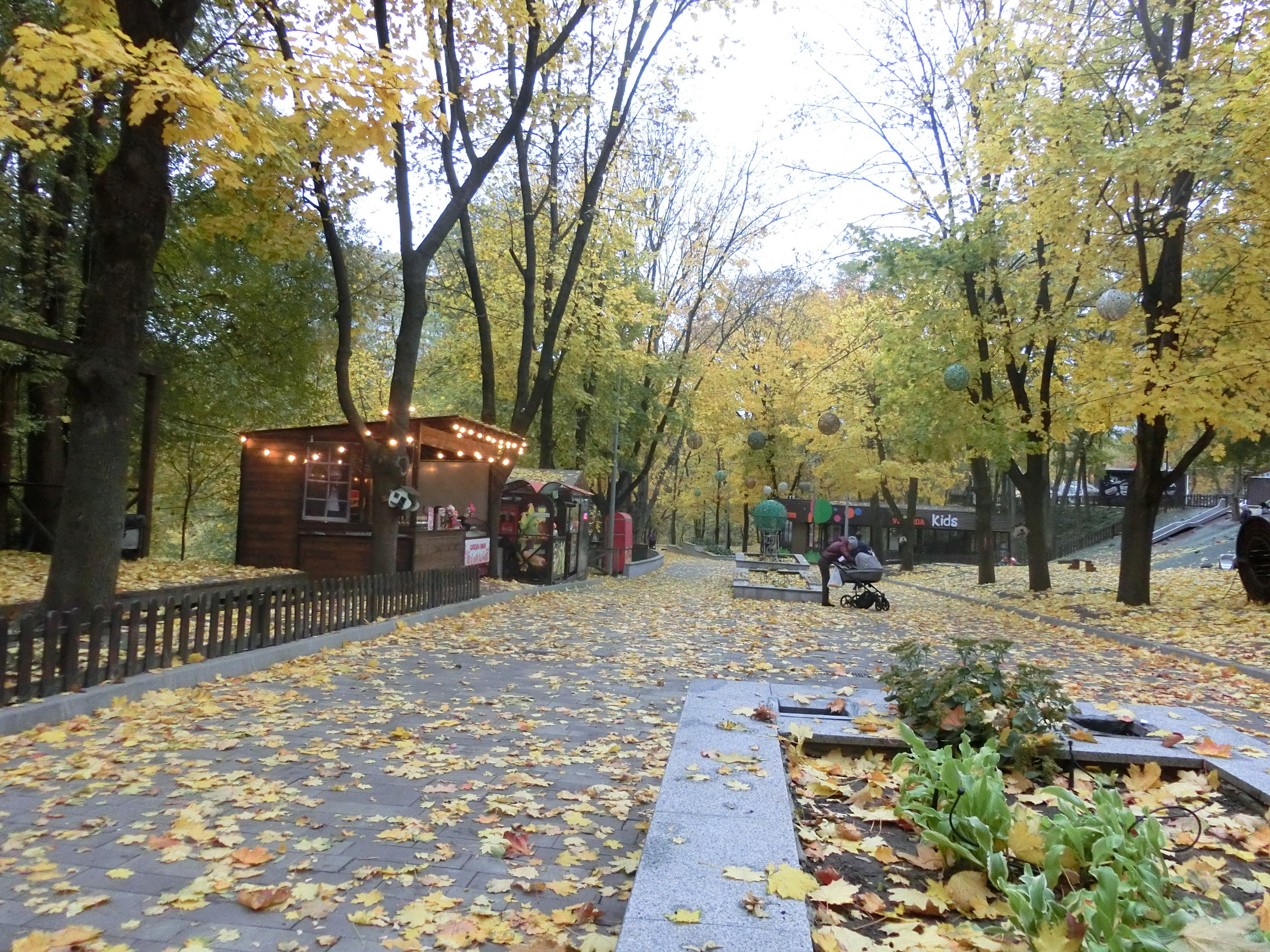 Dnipro. Autumn. City park